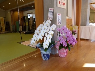 20151021.JPG